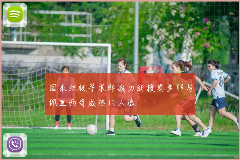 国米积极寻求即战力新援恩多耶与佩里西奇成热门人选