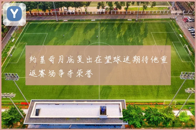 约基奇月底复出在望球迷期待他重返赛场争夺荣誉